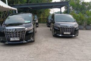 Lumino Trans - Rental Alphard Jakarta (1)